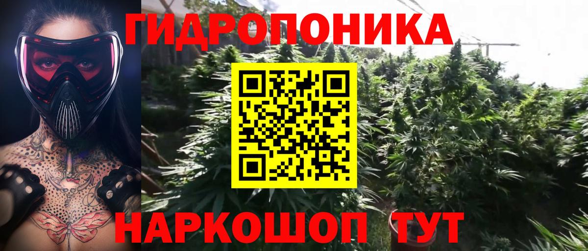 Конопля конопля  МАРИХУАНА MAZAR  Щёлково  Вход с VPN  Бошки марихуана план 